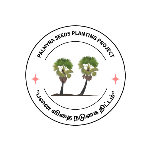 Palmyra Seeds Planting Project